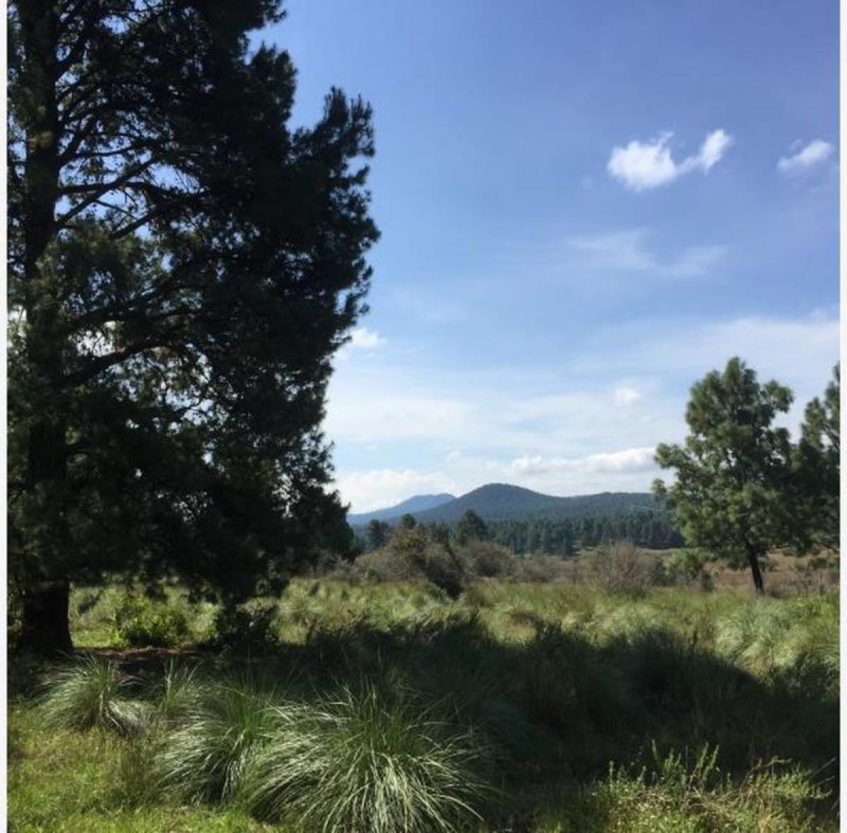 Picture of Residential Land For Sale in Atemajac De Brizuela, Jalisco, Mexico