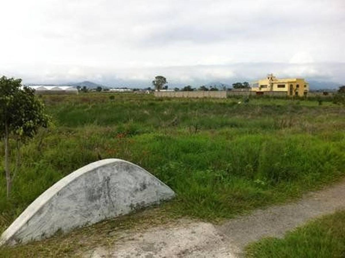 Picture of Residential Land For Sale in Pilcaya, Guerrero, Mexico
