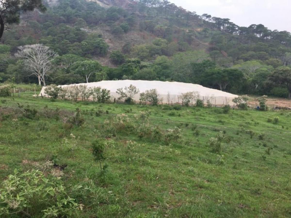 Picture of Home For Sale in Escuintla, Chiapas, Mexico