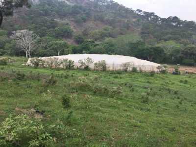 Home For Sale in Escuintla, Mexico