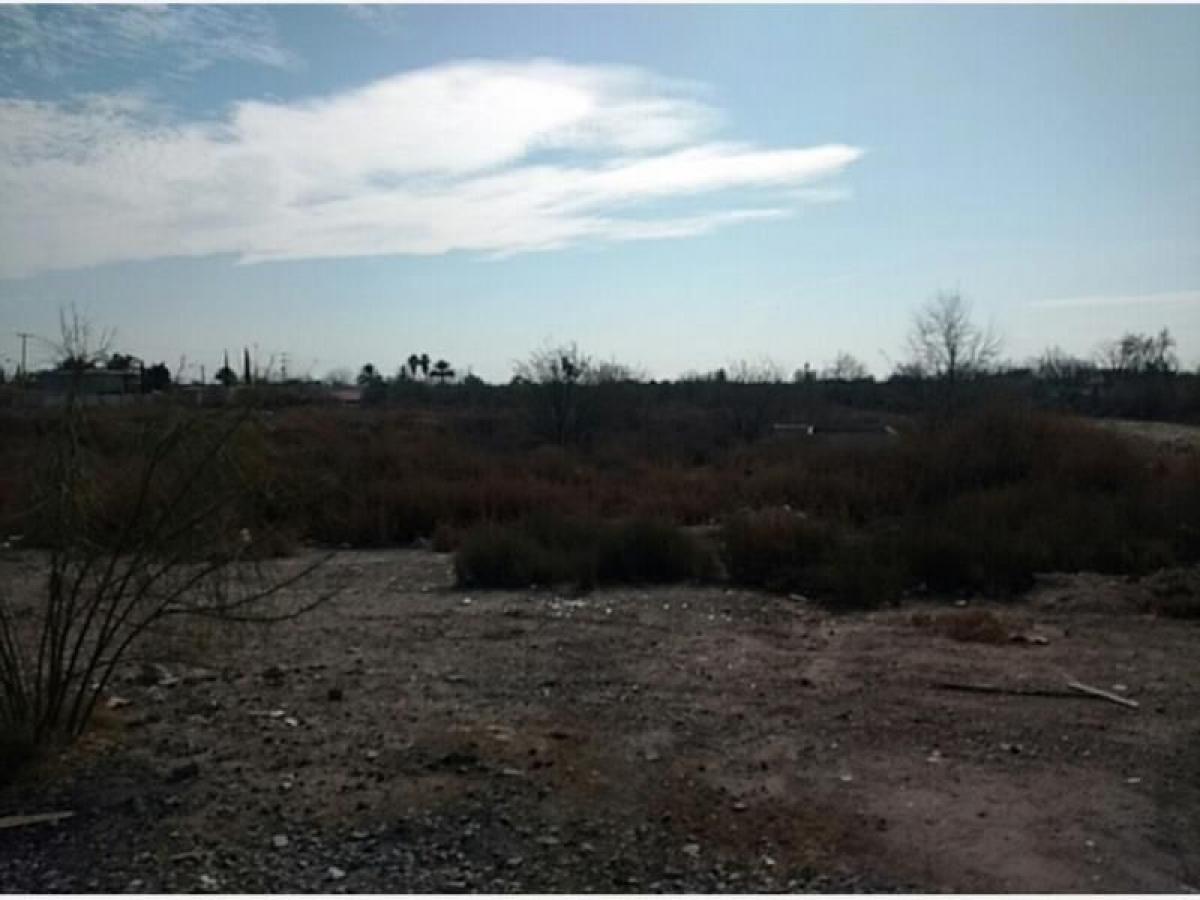 Picture of Residential Land For Sale in Playa Vicente, Veracruz, Mexico