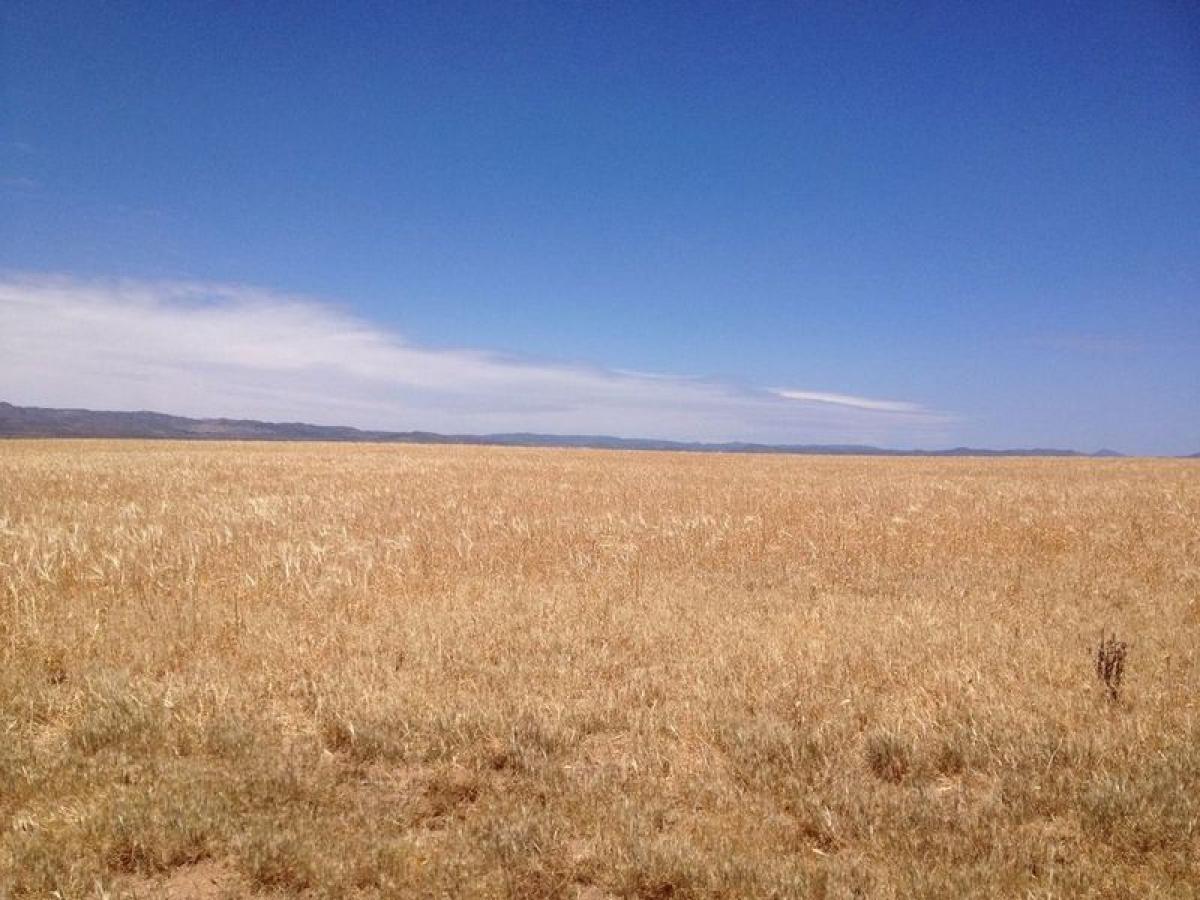 Picture of Development Site For Sale in Baja California, Baja California, Mexico