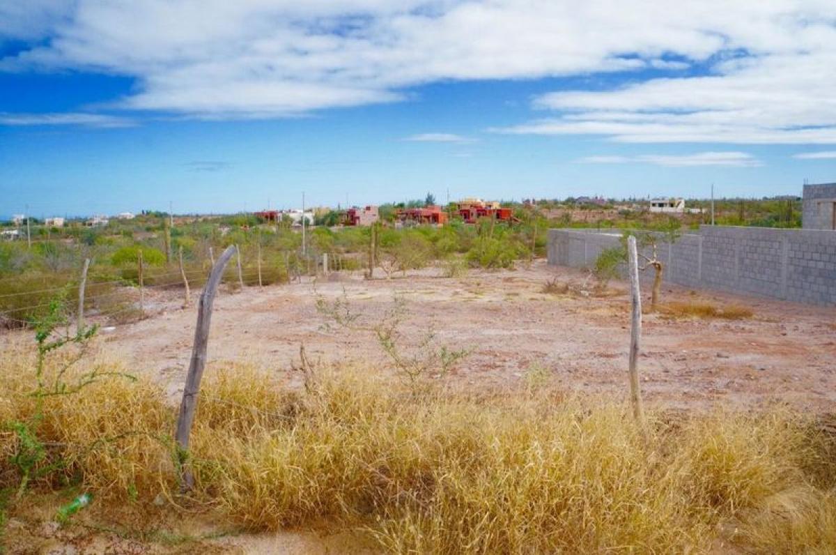 Picture of Residential Land For Sale in Baja California Sur, Baja California Sur, Mexico