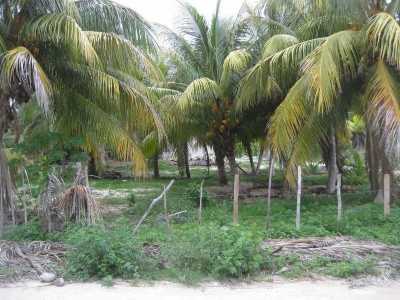 Residential Land For Sale in Telchac Puerto, Mexico