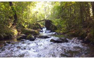 Residential Land For Sale in Valle De Bravo, Mexico