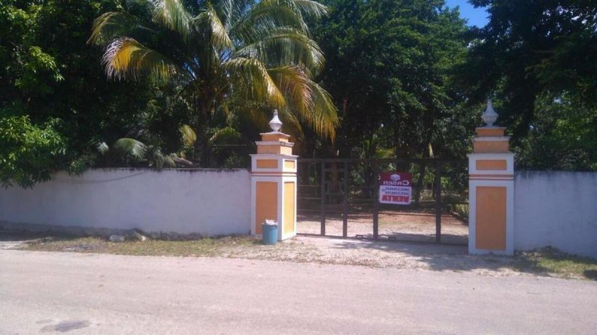 Picture of Development Site For Sale in Cenotillo, Yucatan, Mexico