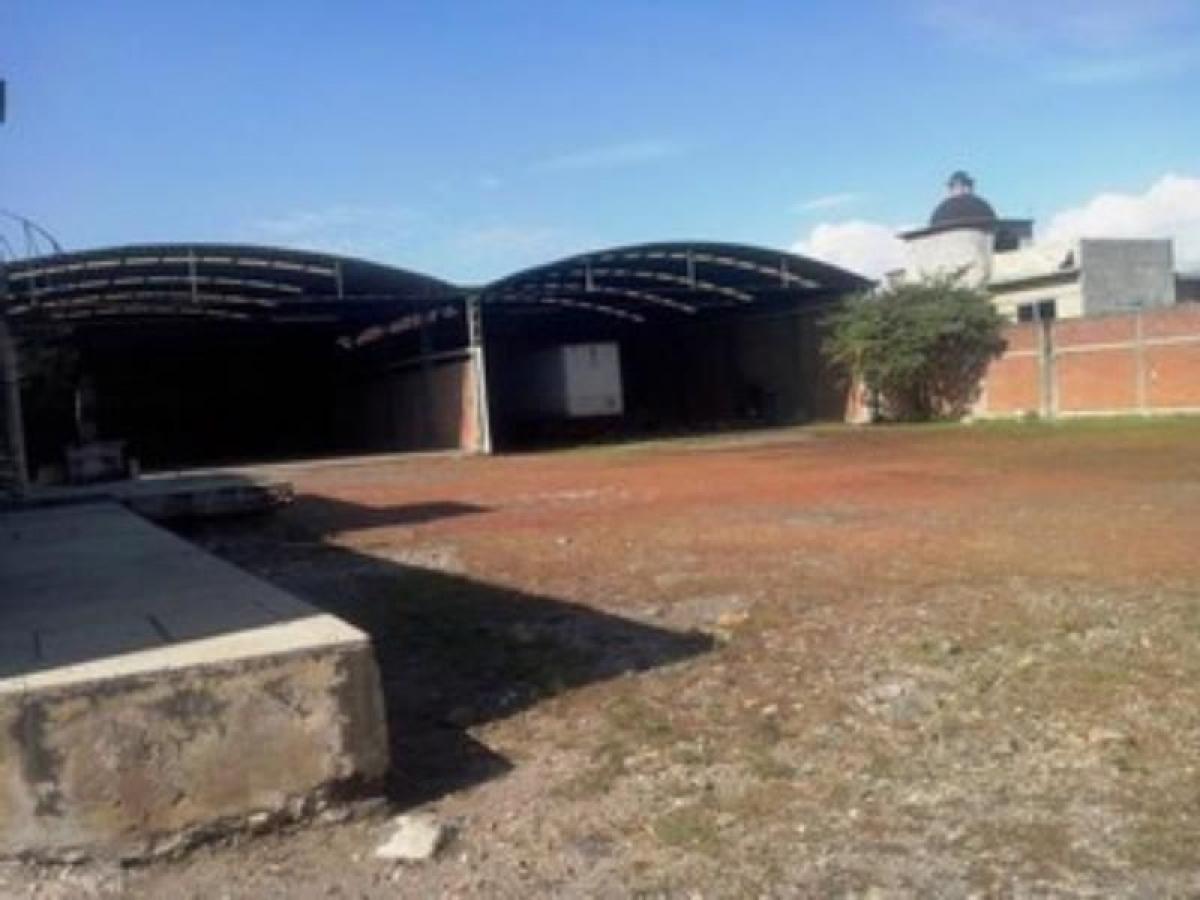 Picture of Other Commercial For Sale in Morelos, Morelos, Mexico