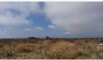 Residential Land For Sale in Jantetelco, Mexico