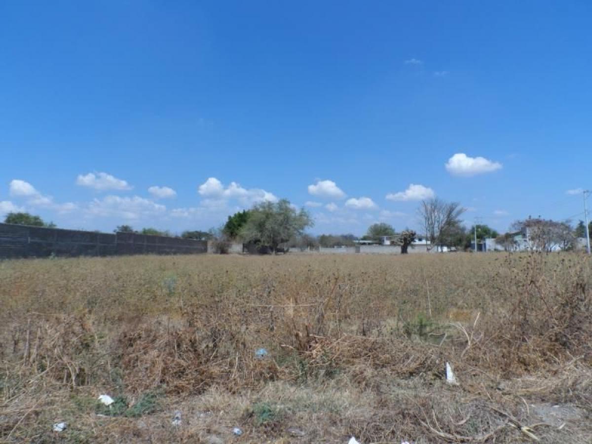 Picture of Residential Land For Sale in Jantetelco, Morelos, Mexico