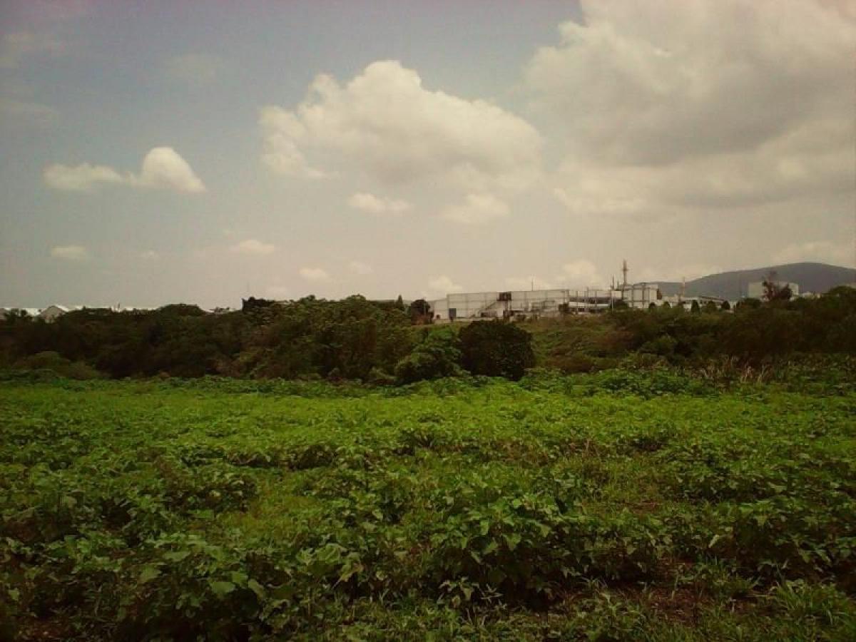 Picture of Residential Land For Sale in Ayala, Morelos, Mexico