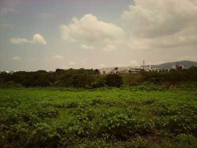 Residential Land For Sale in Ayala, Mexico