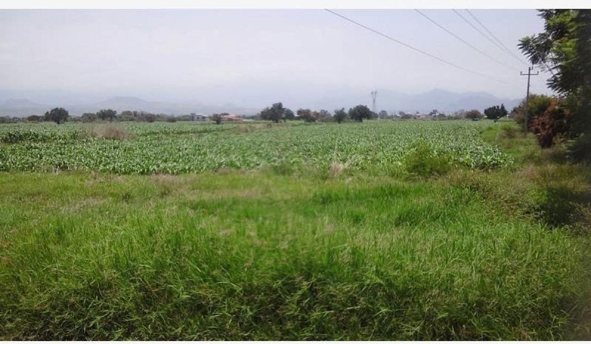 Picture of Residential Land For Sale in Yecapixtla, Morelos, Mexico