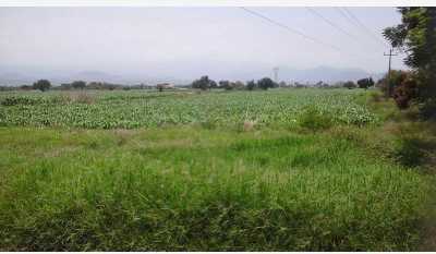 Residential Land For Sale in