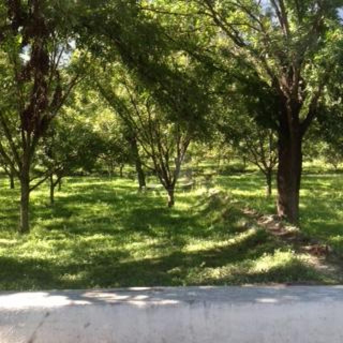 Picture of Home For Sale in Rayones, Nuevo Leon, Mexico