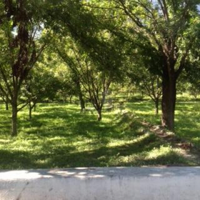 Home For Sale in Rayones, Mexico