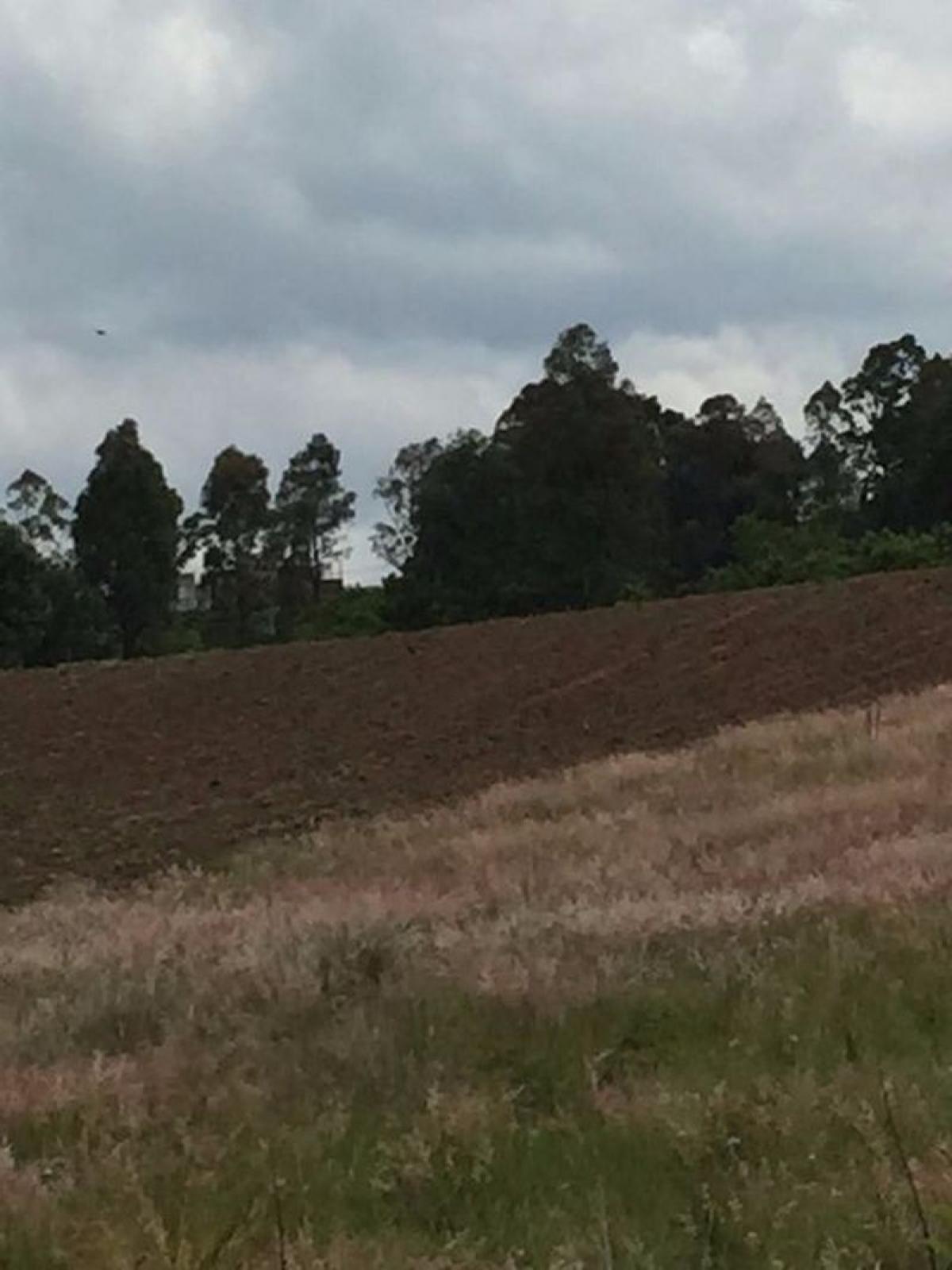 Picture of Residential Land For Sale in Santa Isabel Cholula, Puebla, Mexico