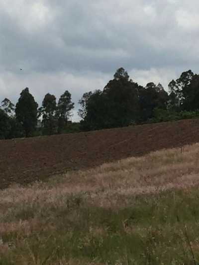 Residential Land For Sale in Santa Isabel Cholula, Mexico