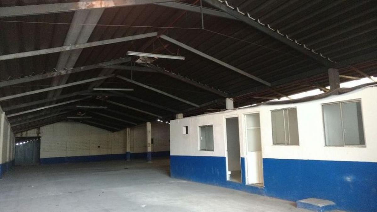 Picture of Penthouse For Sale in Morelos, Morelos, Mexico