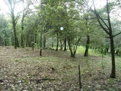 Residential Land For Sale in Tepoztlan, Mexico