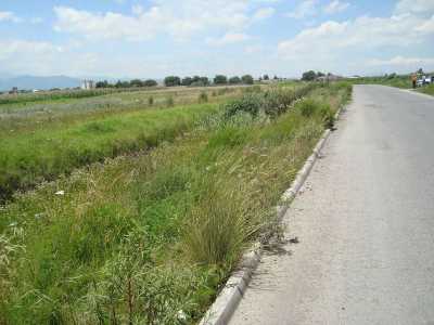 Residential Land For Sale in Estado De Mexico, Mexico