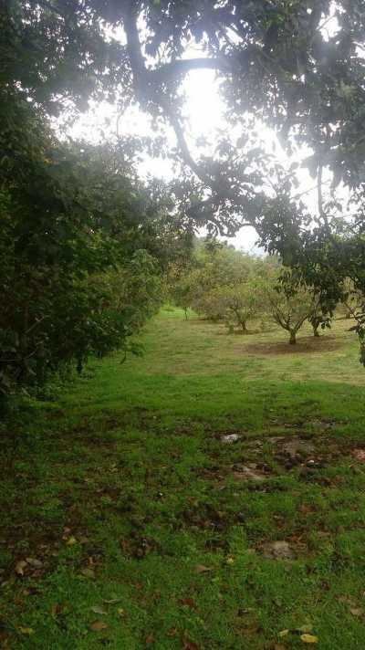 Development Site For Sale in Estado De Mexico, Mexico