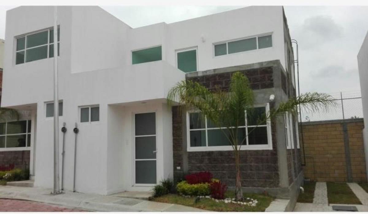 Xalpatlaco, Atlixco, Puebla, Mexico Homes For Sale at GLOBAL LISTINGS