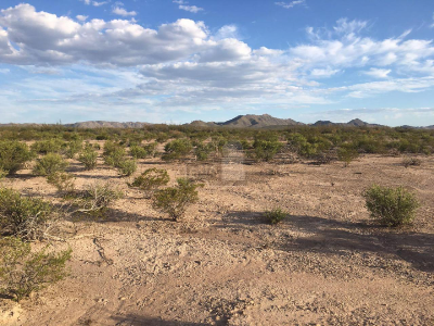 Residential Land For Sale in Camargo, Mexico