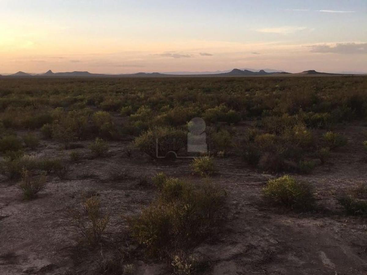 Picture of Residential Land For Sale in Camargo, Chihuahua, Mexico