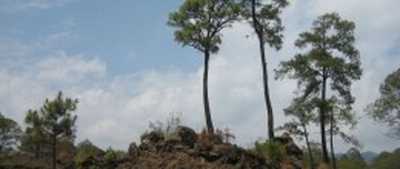 Residential Land For Sale in Jiquipilas, Mexico