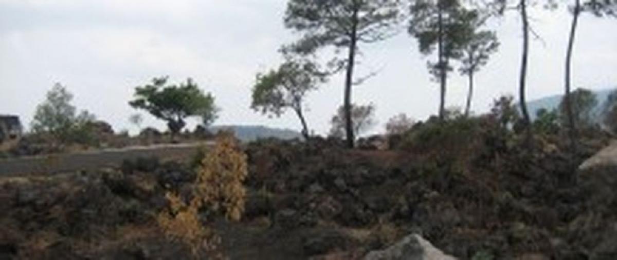 Picture of Residential Land For Sale in Jiquipilas, Chiapas, Mexico