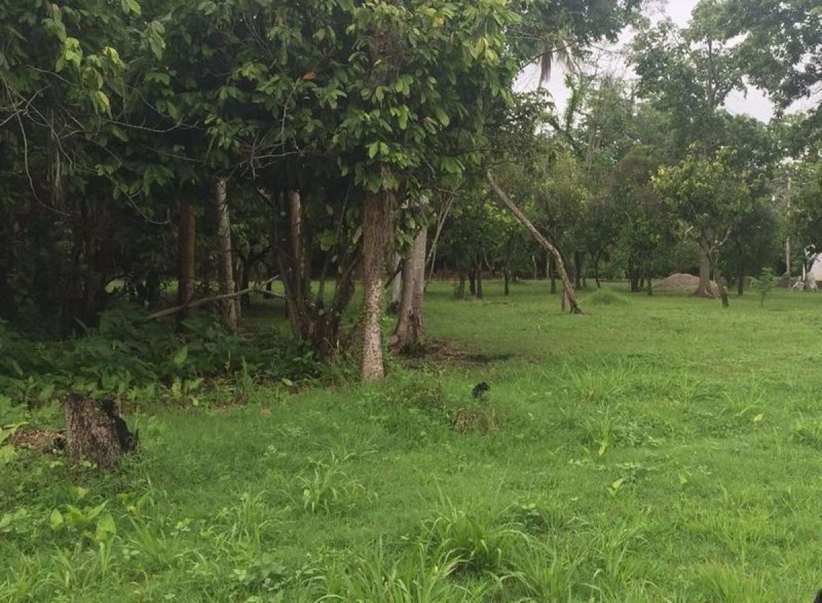 Picture of Residential Land For Sale in Comalcalco, Tabasco, Mexico