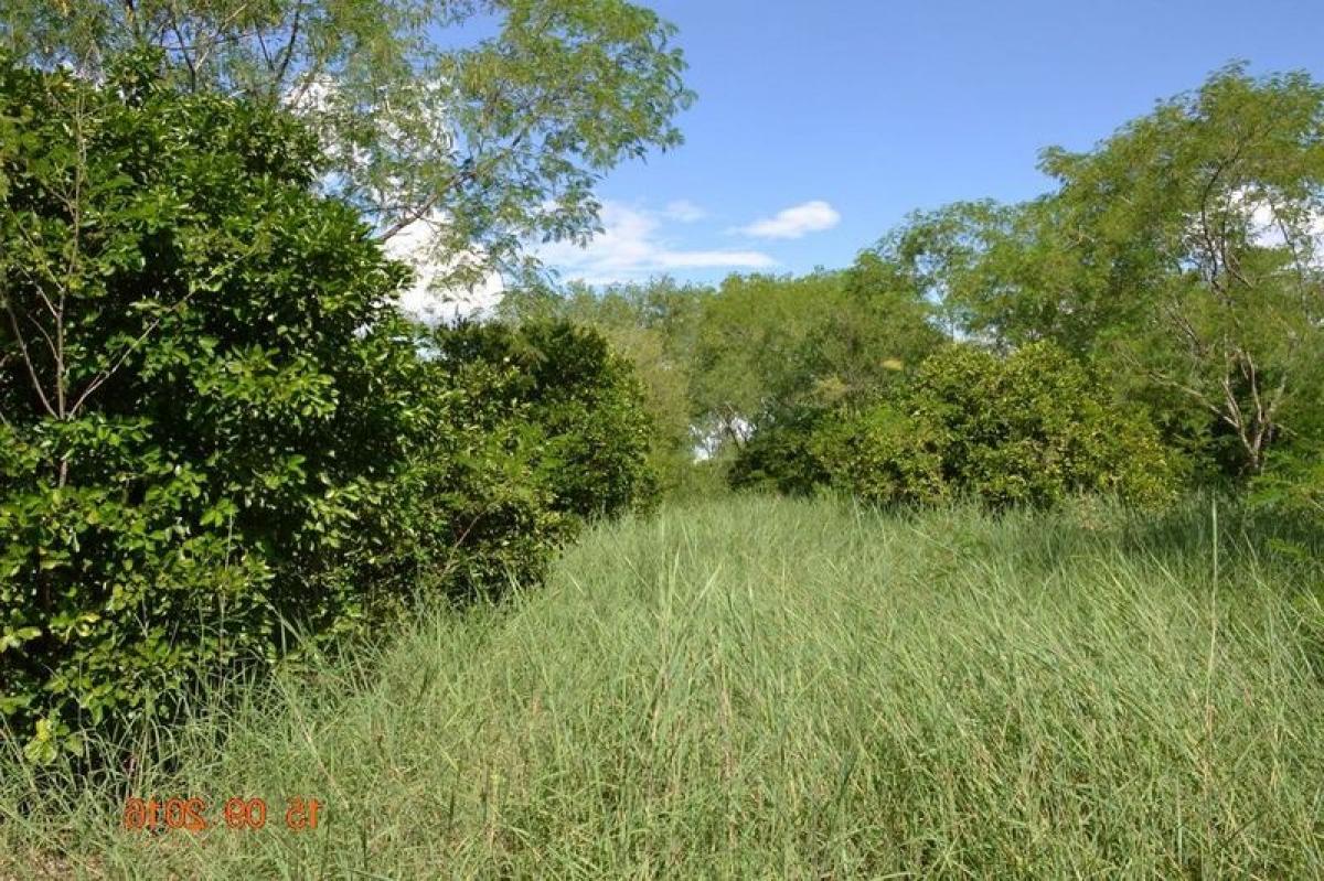 Picture of Development Site For Sale in Montemorelos, Nuevo Leon, Mexico