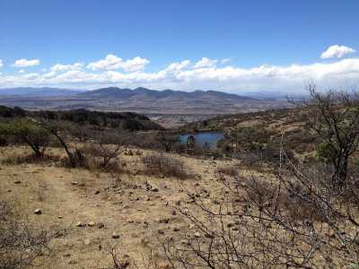 Development Site For Sale in Hidalgo, Mexico