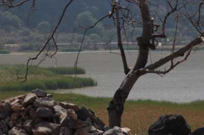 Residential Land For Sale in Villa Corona, Mexico