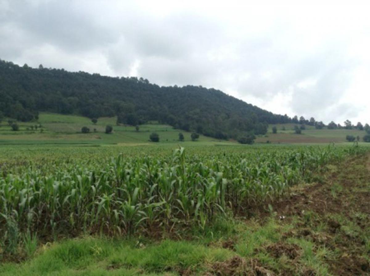 Picture of Residential Land For Sale in Amanalco, Mexico, Mexico