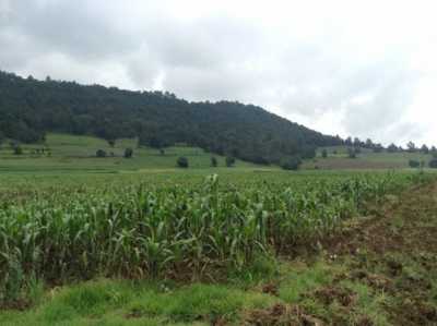 Residential Land For Sale in Amanalco, Mexico