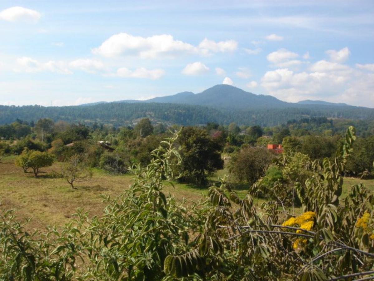 Picture of Residential Land For Sale in Valle De Bravo, Mexico, Mexico