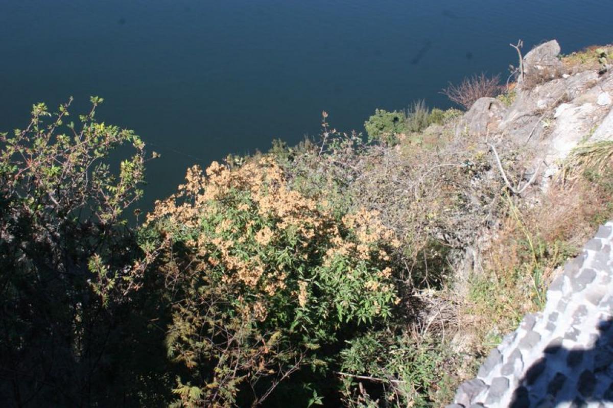 Picture of Residential Land For Sale in Valle De Bravo, Mexico, Mexico