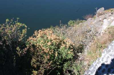 Residential Land For Sale in Valle De Bravo, Mexico