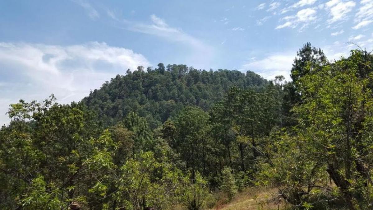 Picture of Residential Land For Sale in Valle De Bravo, Mexico, Mexico