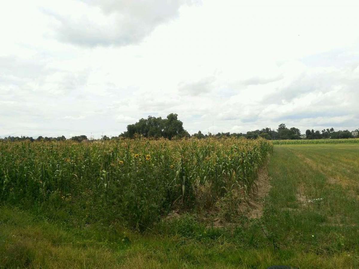 Picture of Residential Land For Sale in Tezoyuca, Mexico, Mexico