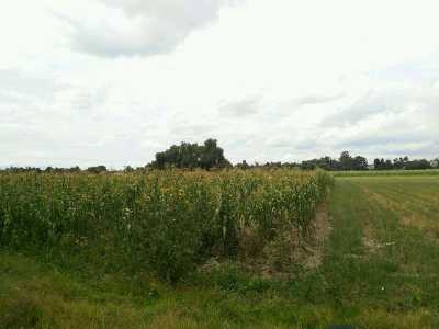Residential Land For Sale in Tezoyuca, Mexico