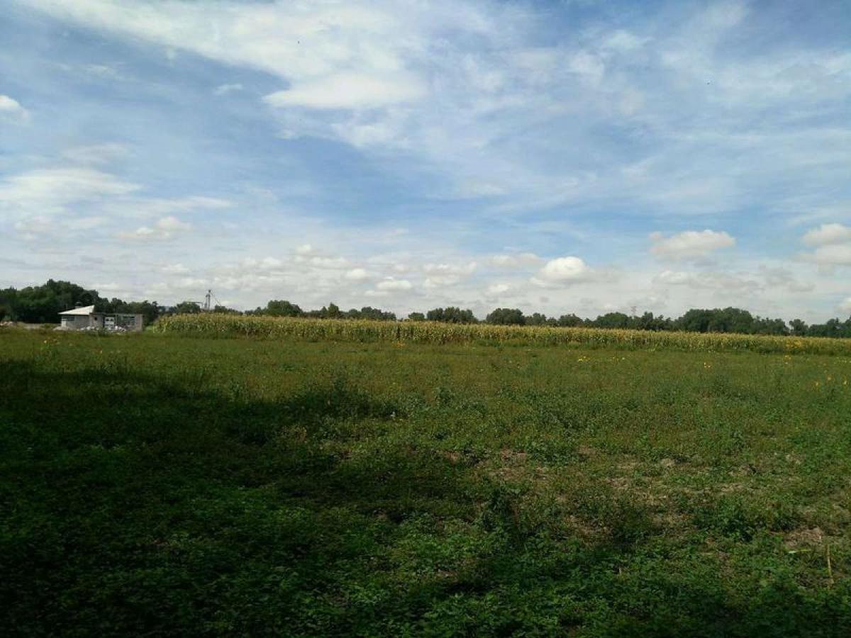 Picture of Residential Land For Sale in Acolman, Mexico, Mexico