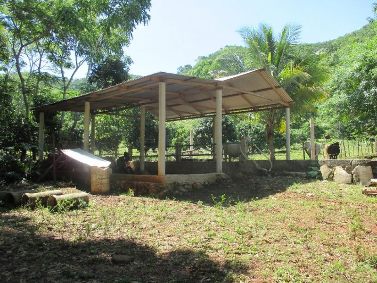 Picture of Development Site For Sale in Escuintla, Chiapas, Mexico