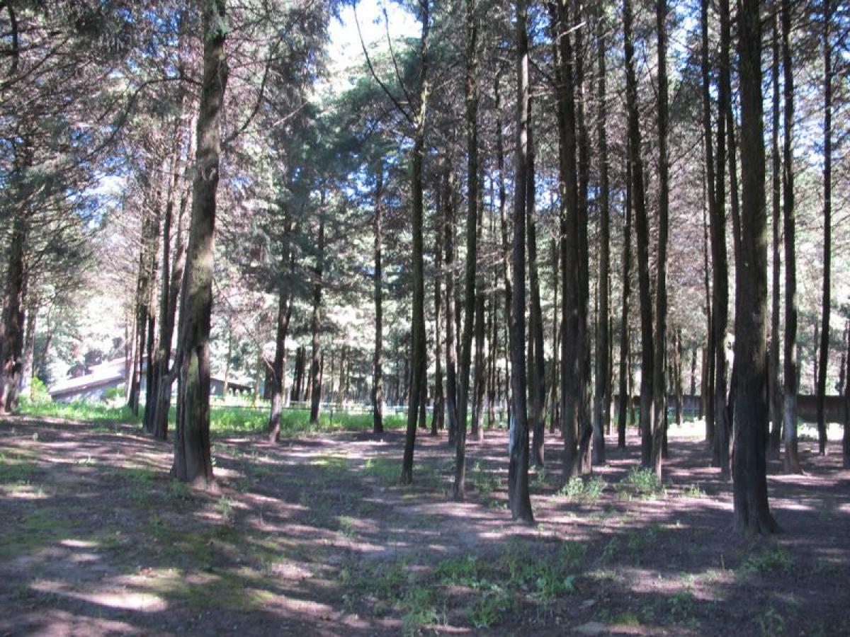 Picture of Development Site For Sale in Estado De Mexico, Mexico, Mexico