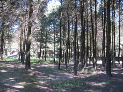 Development Site For Sale in Estado De Mexico, Mexico