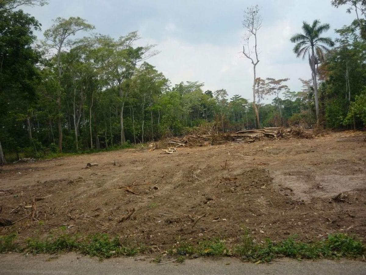 Picture of Residential Land For Sale in Jalpa De Mendez, Tabasco, Mexico