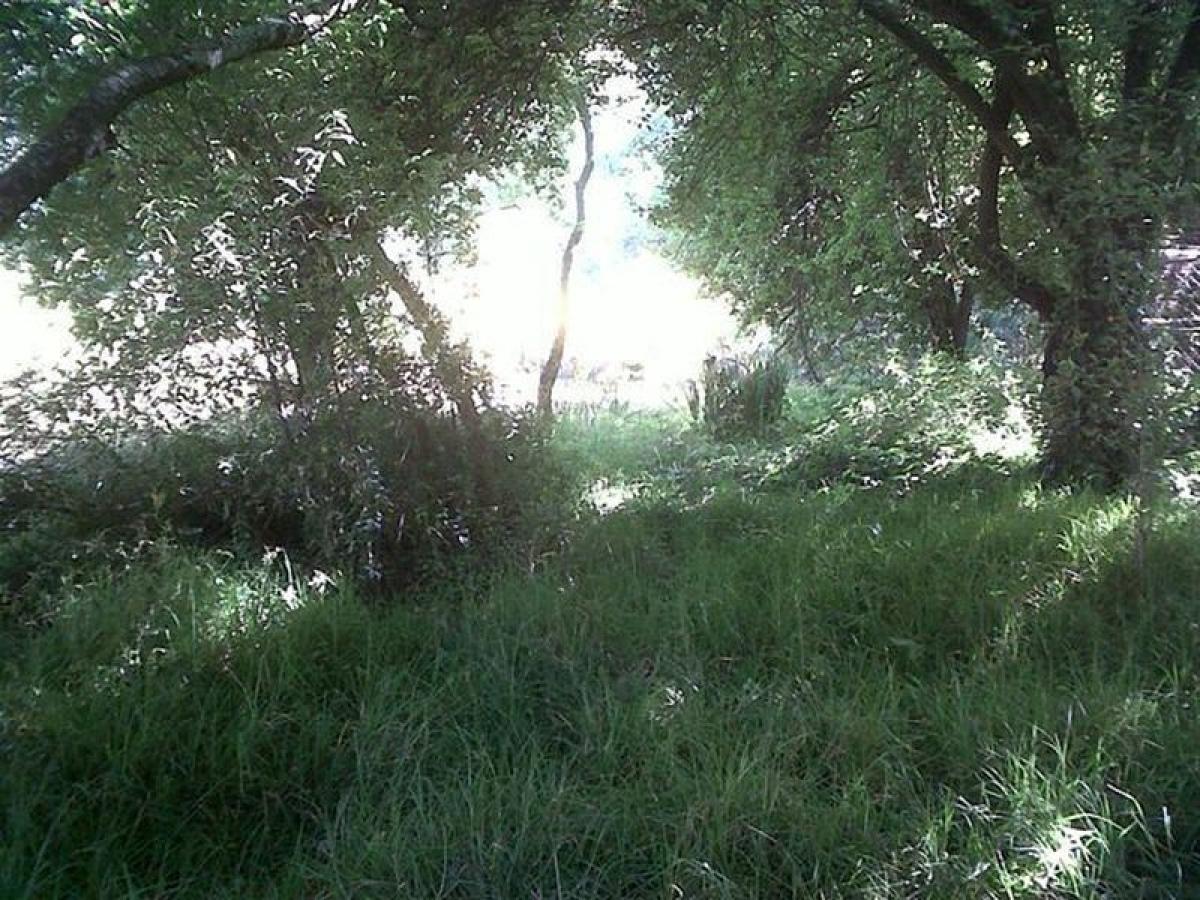 Picture of Residential Land For Sale in Estado De Mexico, Mexico, Mexico