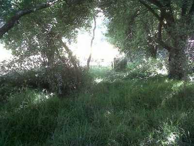 Residential Land For Sale in Estado De Mexico, Mexico