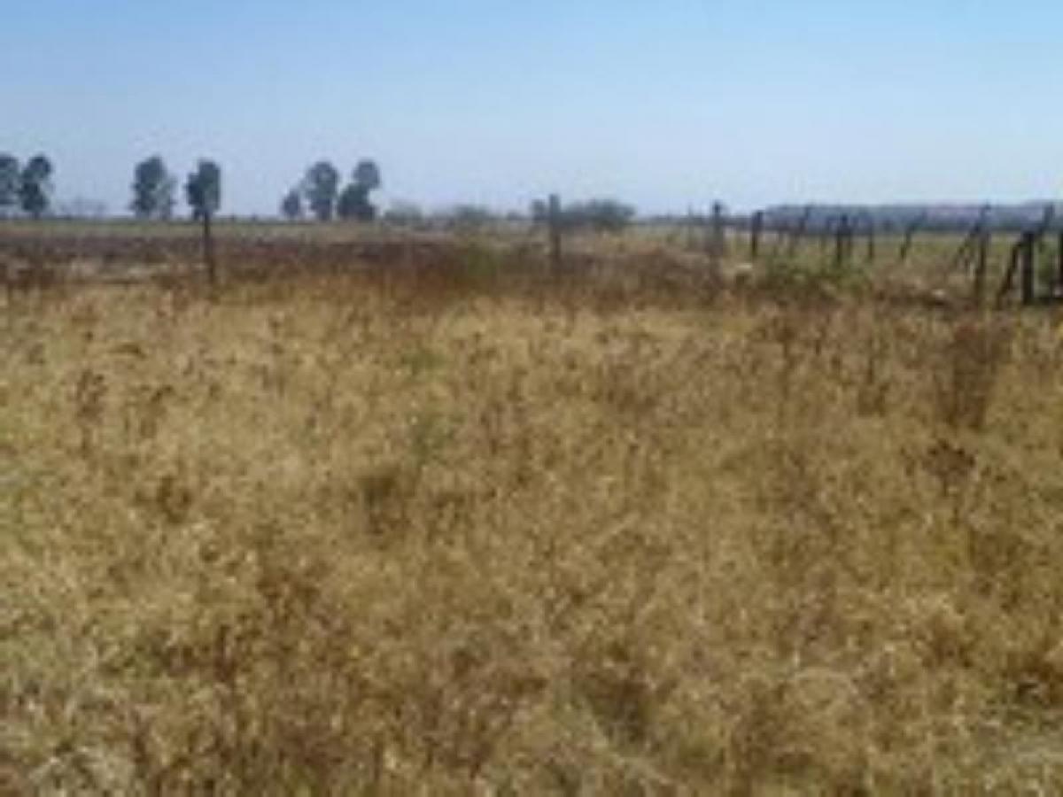 Picture of Residential Land For Sale in Ocuituco, Morelos, Mexico